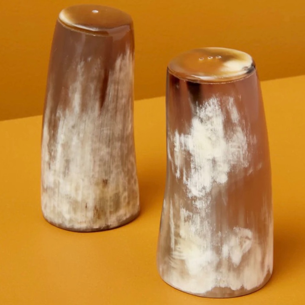 Horn Salt & Pepper Set (beHOME brand purchased from East Fork)